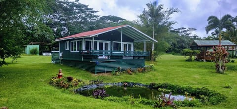 Our beautiful private guest house sits on the pond. Colorful tropical fish.