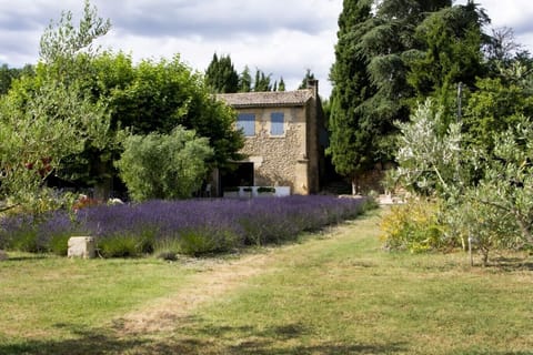 SALON DE PROVENCE vacation rental, comfortable and luxury farmhouse for rent for 12 people. Online reservation with Plaisirs & Maisons de Provence