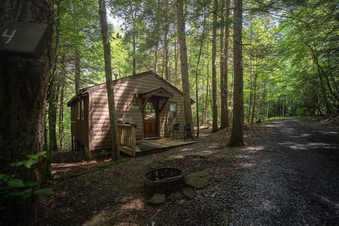  Cabin #4