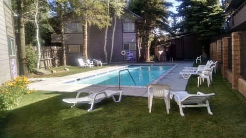 Brand New Pool! open in Summer time (Closed in Winter)