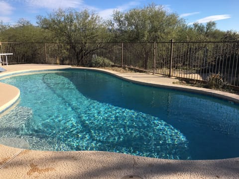 Salt water pool in backyard