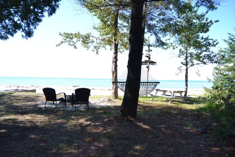 Yes, the water is that blue