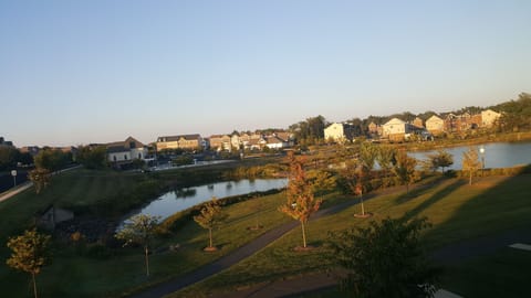 The lovely view from every window in the front house.  Natural trails all around