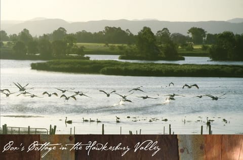 Pitt Town Lagoon bird sanctuary