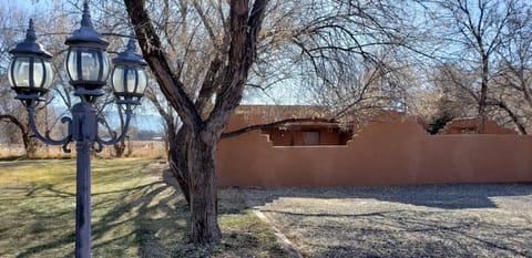 View of front patio (privacy wall) & vineyard to left-rear.