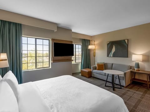 King bed and pull-out sofa in an open studio layout with large windows and a mounted TV