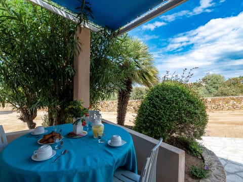 Plant, Table, Furniture, Property, Tableware, Cloud, Blue, Azure, Chair, Tablecloth