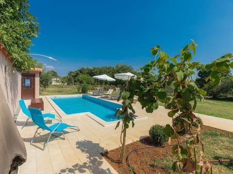 Water, Plant, Sky, Furniture, Swimming Pool, Outdoor Furniture, Shade, Building, Chair, Tree