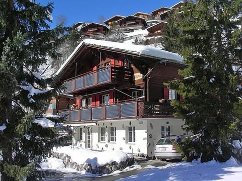 Wychel Winteransicht