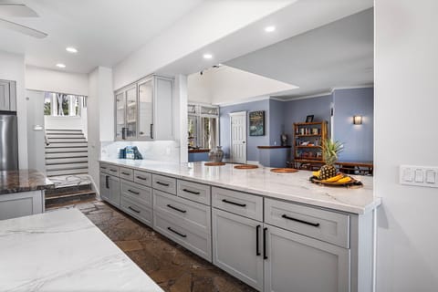 Sleek modern cabinetry and generous countertop space in this secondary kitchen view.