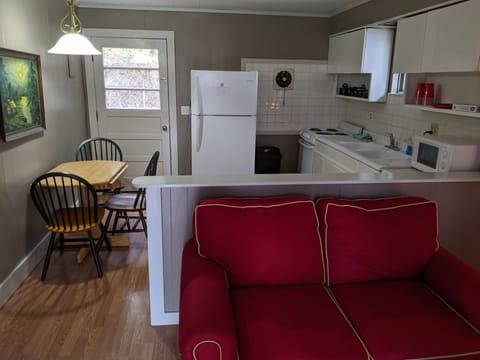 View from the front door looking in. Living area, kitchen. 