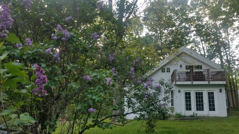 front of house with lilacs