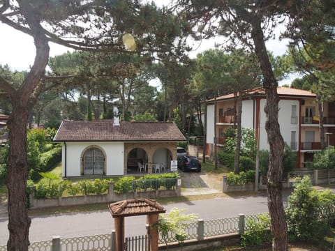 Plant, Property, Building, Sky, Window, Tree, Neighbourhood, Cottage, Wall, Residential Area
