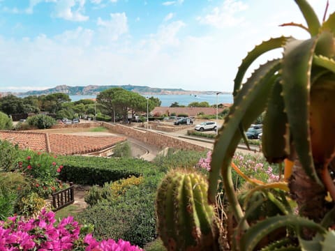 Flower, Plant, Sky, Cloud, Plant Community, Botany, Terrestrial Plant, Tree, Vegetation, Building