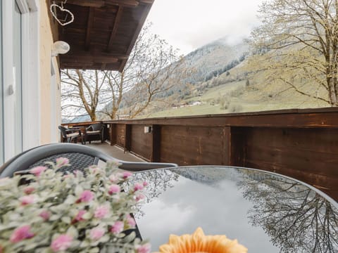 Flower, Plant, Daytime, Building, Leaf, Sky, Tree, Architecture, Lighting, Flowerpot