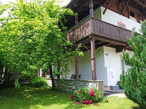 Plant, Building, Flower, Tree, Window, Botany, Vegetation, Land Lot, House, Biome