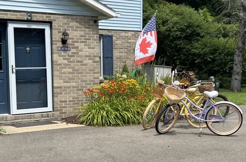 Cruiser bikes to tour the town!