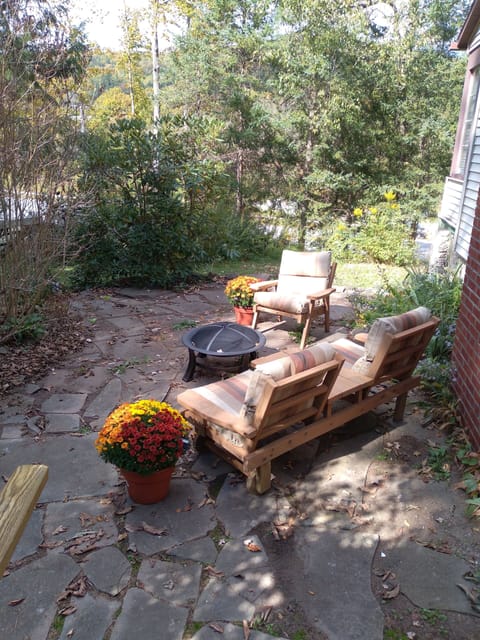 Back patio with firepit.