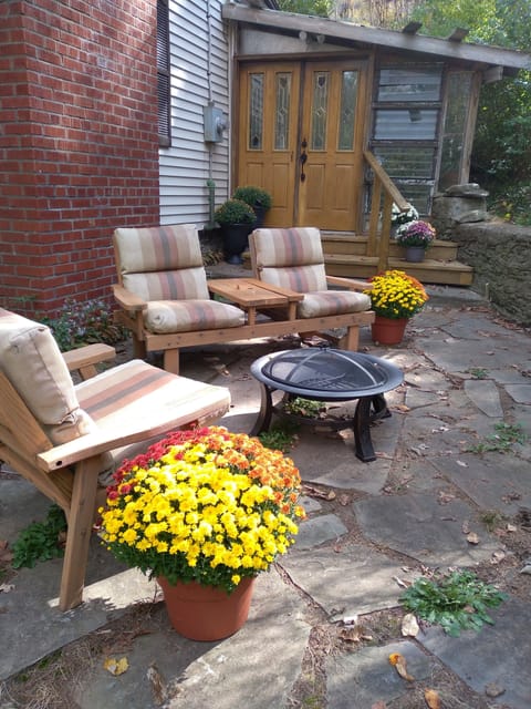 Back patio with firepit