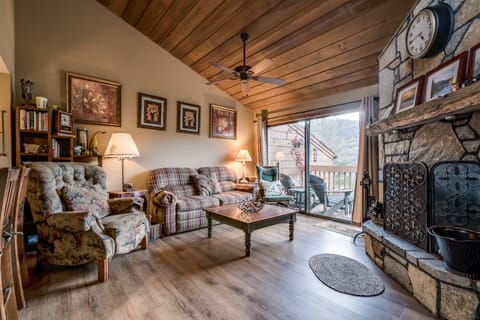 Cozy living room with wood-burning fireplace