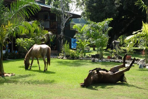 Property grounds