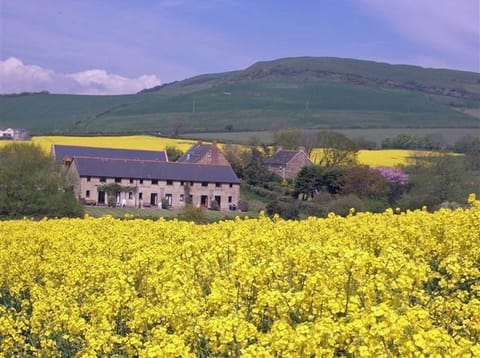 Ash Cottage across the fields to the rear.