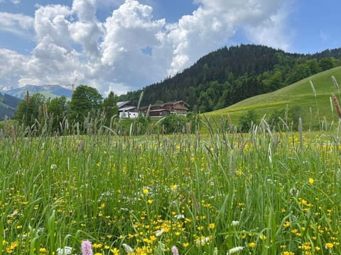 To the sleeping Jungfrau - holiday home, bathroom, toilet, deluxe Apartment in Salzburgerland