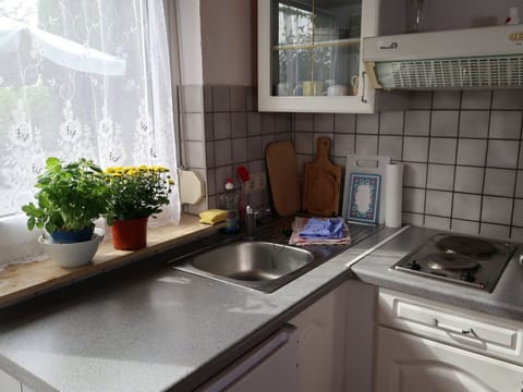 Plant, Kitchen Sink, Sink, Property, Tap, Cabinetry, Countertop, Window, Kitchen, Plumbing Fixture