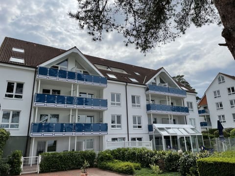 Cloud, Plant, Sky, Building, Window, Urban Design, Tree, House, Neighbourhood