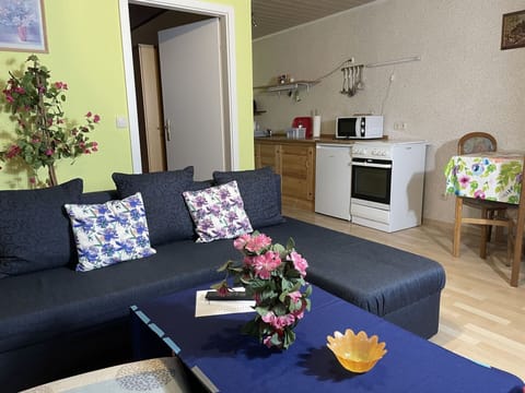 Table, Furniture, Property, Couch, Flower, Picture Frame, Blue, Interior Design, Living Room, Studio Couch