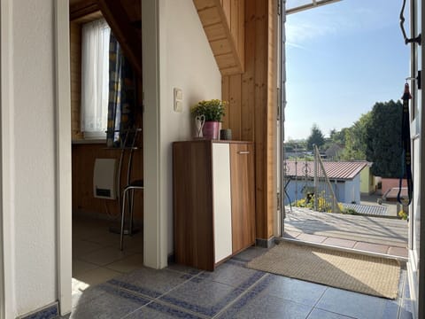 Plant, Building, Property, Window, Houseplant, Wood, Flowerpot, Interior Design, Shade