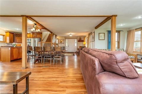 View from the Back Door