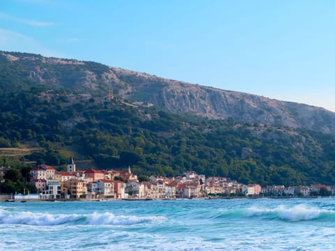 Sky, Cloud, Plant, Flower, Ecoregion, Natural Landscape, Tree, Land Lot, Agriculture, Plain