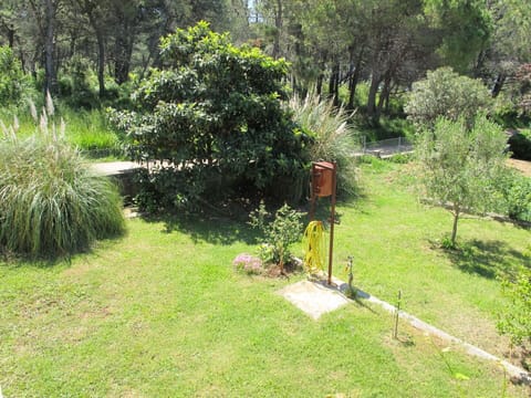 Plant, Property, Plant Community, Natural Landscape, Tree, Land Lot, Grass, Landscape, Groundcover, Grassland