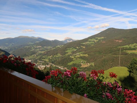 Flower, Cloud, Sky, Plant, Mountain, Property, Slope, Natural Landscape, Tree, Landscape