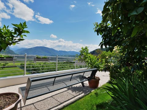 Sky, Vegetation, Green, Property, Tree, Cloud, Nature Reserve, Real Estate, Botany, Grass