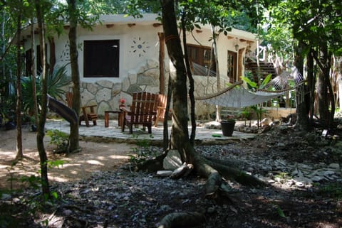 Jungle Paradise