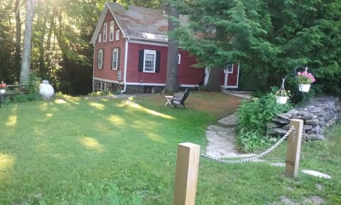 Front Lawn, stone walkway, Front Door behind tree.