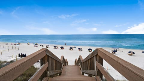 Palms at Seagrove Grounds and Amenities
