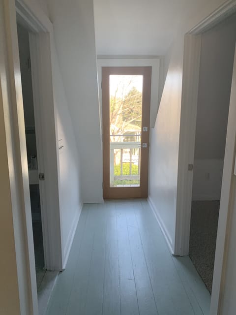 Front door and hallway