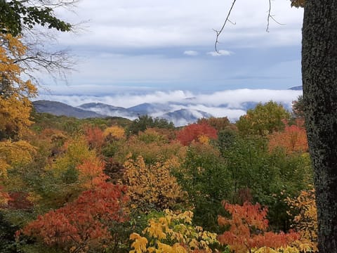 Autumn has arrived!