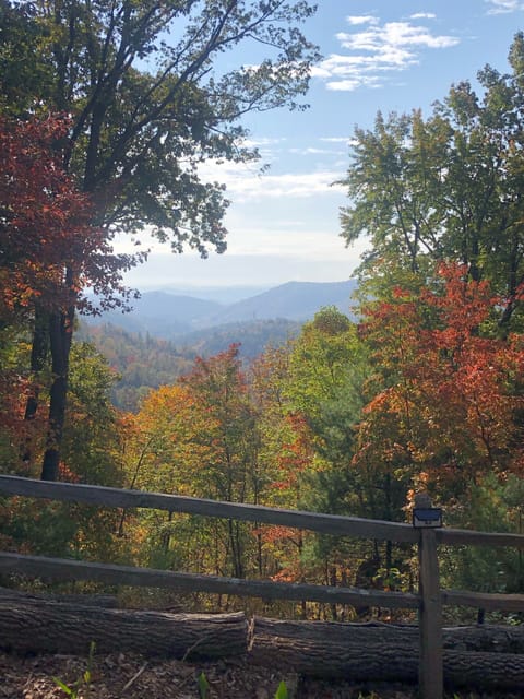 view from campsite
