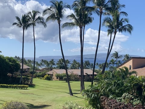 View from the lanai