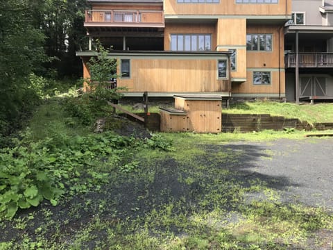 Slopeside entrance view of house. 
