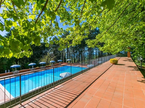 Water, Plant, Property, Swimming Pool, Tree, Shade, Outdoor Furniture, Wood, Leisure, Grass