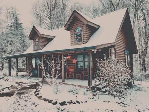 Cabin in the snow 3/2022