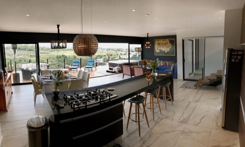 You have a big open concept, kitchen, dining, living room and terrace together