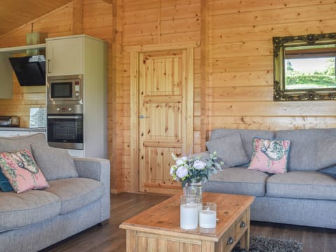 Living area | Pine Lodge - Dale Garth Lodges, Mascalles, near Ulverston