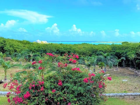 View from the deck.