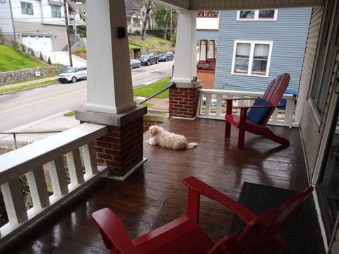 dexter enjoys watching the other north shore dogs stroll by